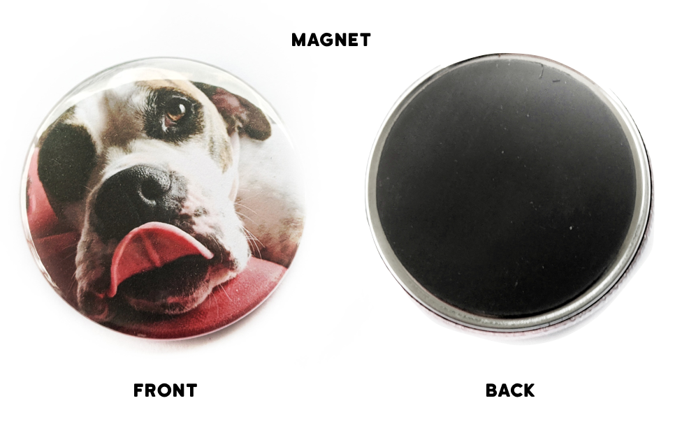 Personalized Pet Button, Magnet & Keychain – Off Leash Apparel